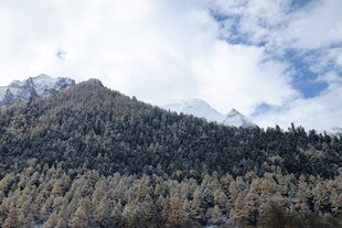 山林云海间的壮美风光