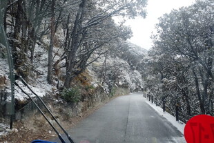 冬日雪覆山路景象