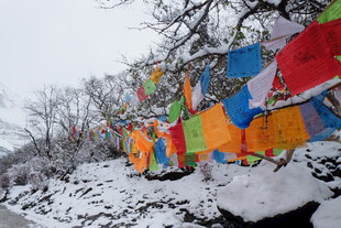 雪覆经幡 尽显藏地风情