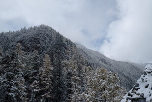 雪覆山林的壮美山景