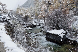 冬日雪覆溪流山林美景