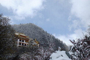 雪覆山林中的古朴建筑