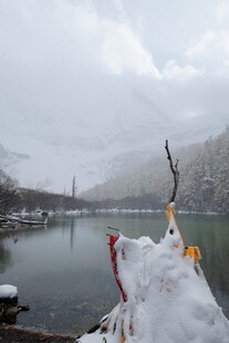 雪覆湖畔船只的静谧景致