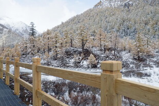 冬日木栏旁的山林雪景