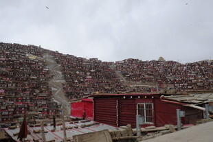 色达红房子景观