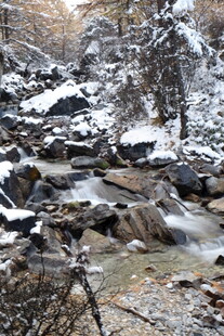冬日雪覆溪流山间美景