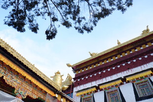 藏式建筑屋顶景观