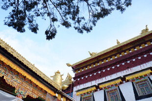 藏式古建筑屋顶景观