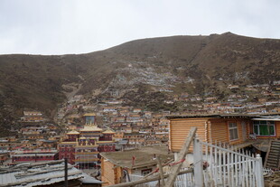 山坡上错落有致的藏式建筑