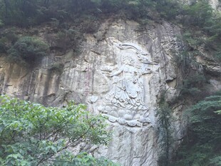 陡峭山崖上的绿植景观