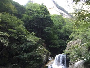 山间瀑布 绿意盎然的景致