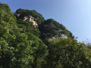 青山绿树间的秀丽山峰