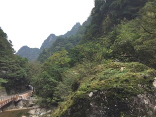 山间绿意盎然的河谷景色