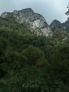 青山葱郁间的秀丽山景