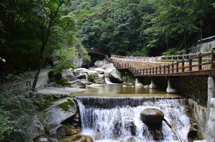 山间溪流木桥自然美景