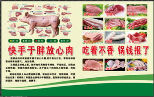 猪肉分割图 猪肉分解