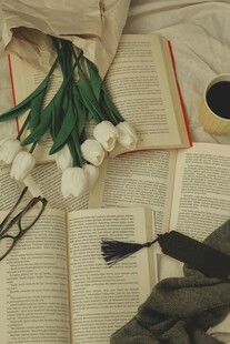 书本上的郁金香与小物件