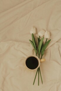 简约花瓶中的素雅白玫瑰