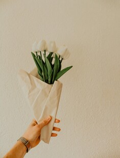 手捧白色郁金香花束