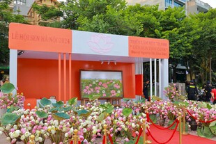 橙色展台旁的缤纷花卉景观