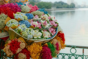 多彩花环装点湖边美景
