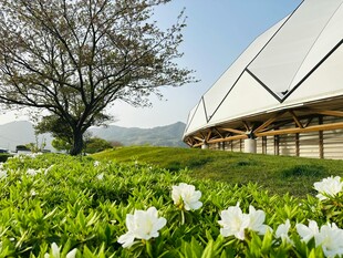 田园旁的现代建筑与白花