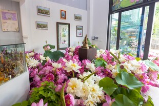 室内缤纷花卉景观