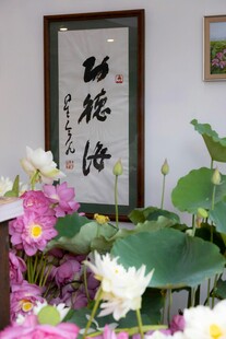 中式雅致荷花书法装饰景