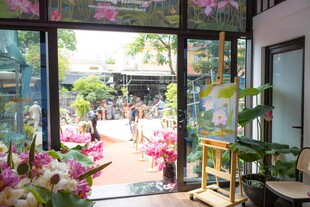 室内外花卉装点的温馨空间