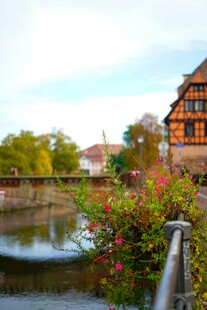 河畔多彩建筑与烂漫花卉