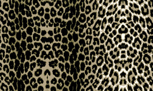 豹纹图案布料纹理