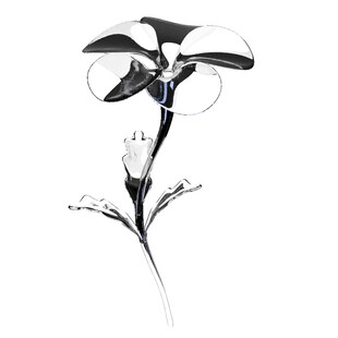 黑白手绘单枝花卉图案