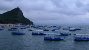 海上蓝色养殖浮排景观
