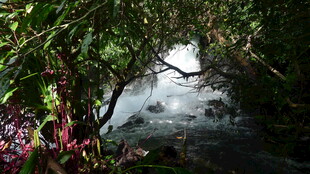 林间溪流 自然清新景致