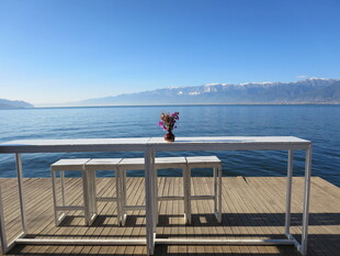 湖畔栏杆处的静谧景致