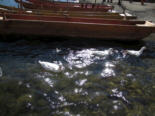 波光粼粼水面上的船只