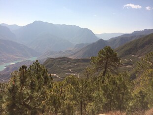 山间葱郁林木与远处山峦