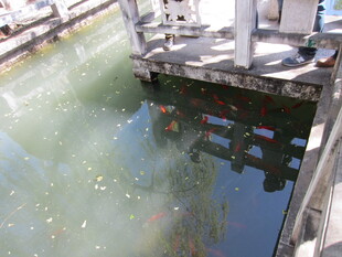 水边木质栈桥与水中倒影