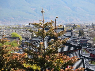 俯瞰古朴美丽的中式村落