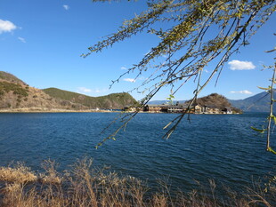 湖畔风光 垂柳碧水远山