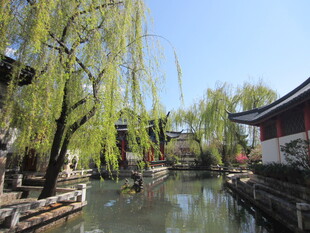 江南水乡垂柳古建筑景观