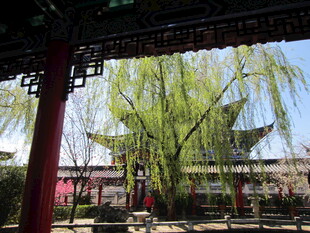 古亭垂柳下的中式景致