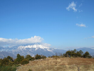 雪山远景与山间植被景观