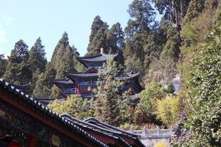 山间古建隐于葱郁林木