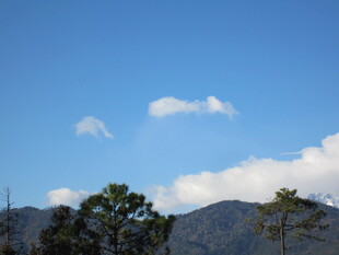 蓝天绿树间的远山美景