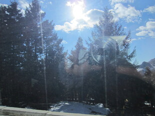 冬日阳光照耀林间道路