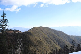 山峦松景 蓝天之下风光