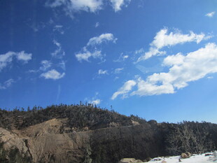 蓝天白云下的山林雪景