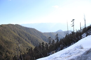 雪山山林壮丽风光