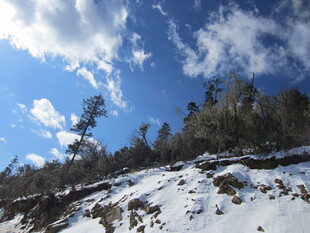 雪后山林蓝天美景